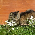 Sasha:relax tra i fiori a Pasqua...
