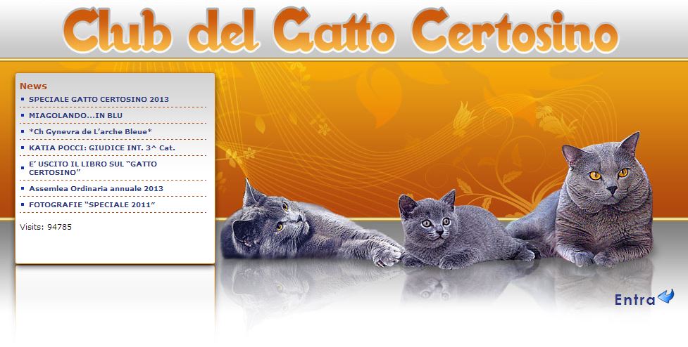 Club Del Gatto Certosino Italia