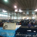 Gatti di razza - Mostra felina Padova 7.01.2012