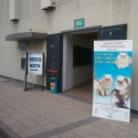 Gatti di razza - Mostra felina Padova 7.01.2012