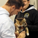Gatti di razza - Mostra felina Padova 7.01.2012