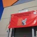 Gatti in mostra. Foto. Esposizione felina San Bonifacio (Verona) 21 - 22 gennaio 2012. Clic - 125px x 125px anteprima