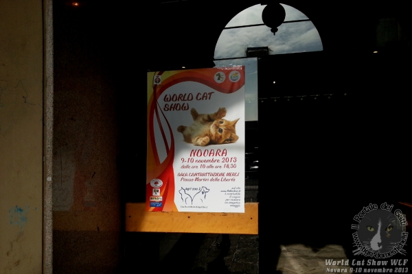 9 e 10 novembre 2013. Foto. World Cat Show WCF Novara