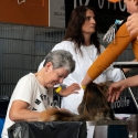 1 ottobre 2022 Mostra Interazionale Felina ANFI FIFe di Padova