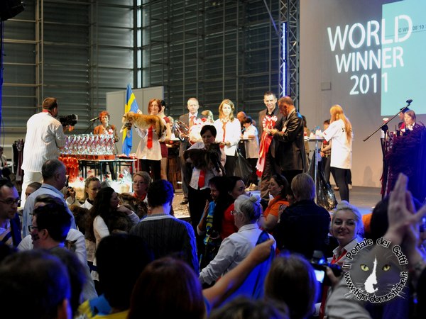 30 ottobre 2011 Esposizione Mondiale di Poznan - Secondo giorno