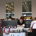 29 ottobre 2011 Esposizione Mondiale di Poznan - Primo giorno