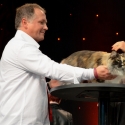 Foto da World Cat Show 2012 Zagabria Croazia - secondo giorno
