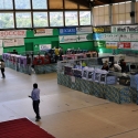 Gatti di razza - Esposizione Felina Internazionale Borgo Valsugana (Trento) 19 e 20.05.2012