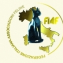 Calendario expo 2013 - FIAF - Italia - WCF