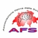 Calendario expo 2013 - AFSI - Svizzera - WCF