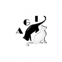 Calendario expo 2013 - AGI - Italia - WCF