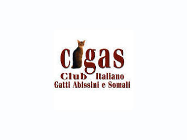 GIGAS Club Italiano Gatti Abissini e Somali