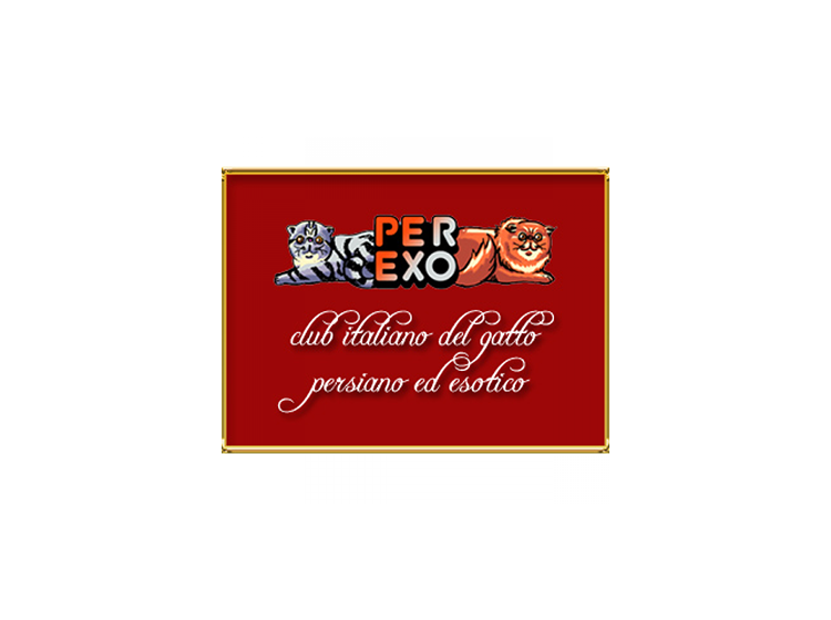 PER - EXO Club Italiano del gatto Persiano ed Esotico