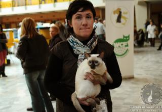 9 e 10 novembre 2013. Foto. World Cat Show WCF Novara