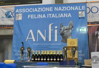10 e 11 gennaio 2015 Esposizione Internazionale Felina ANFI - FIFe di San Bonifacio