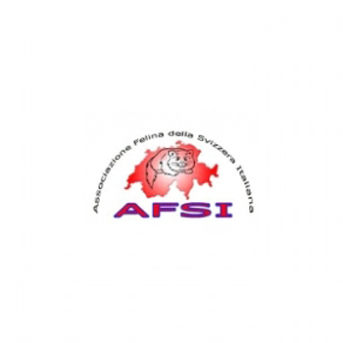 Calendario expo 2013 - AFSI - Svizzera - WCF