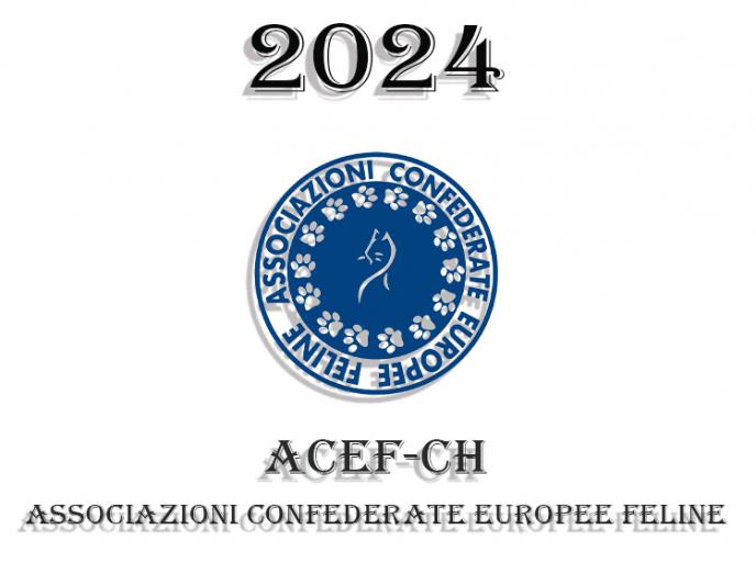 Esposizioni Feline 2024 ACEF WCF Svizzera