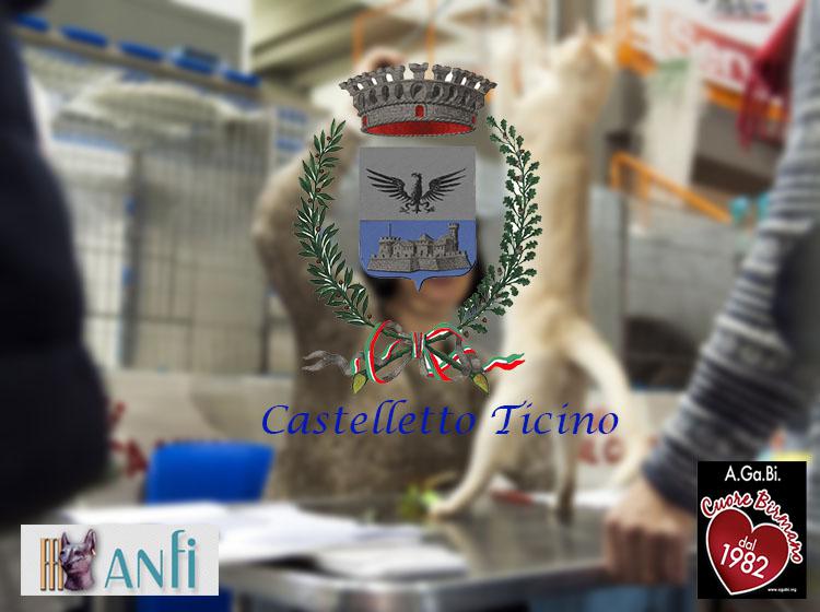 4 e 5 giugno 2016 Esposizione Internazionale Felina ANFI FIFe di Castelletto Ticino (No)