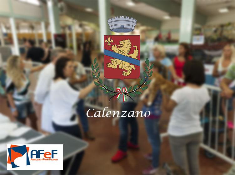 15 e 16 ottobre 2016 Esposizione Internazionale Felina AFeF – WCF Calenzano (Fi)