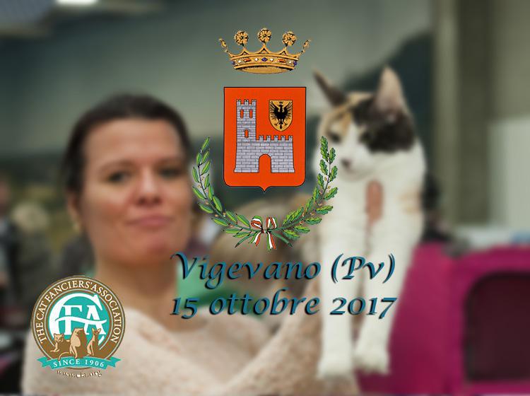 15 ottobre 2017 American Cat Show CFA Vigevano (Pv)