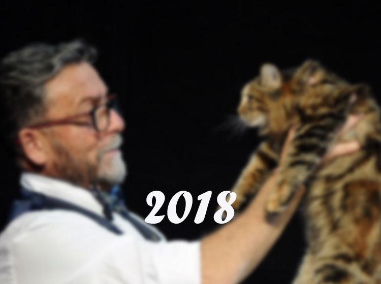 Esposizioni feline in Italia 2018