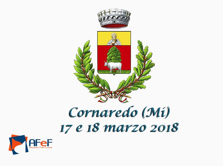 17 e 18 marzo 2018 Esposizione Internazionale Felina AFeF - WCF di Cornaredo (Mi)