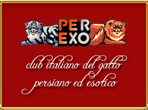 PEREXO Club