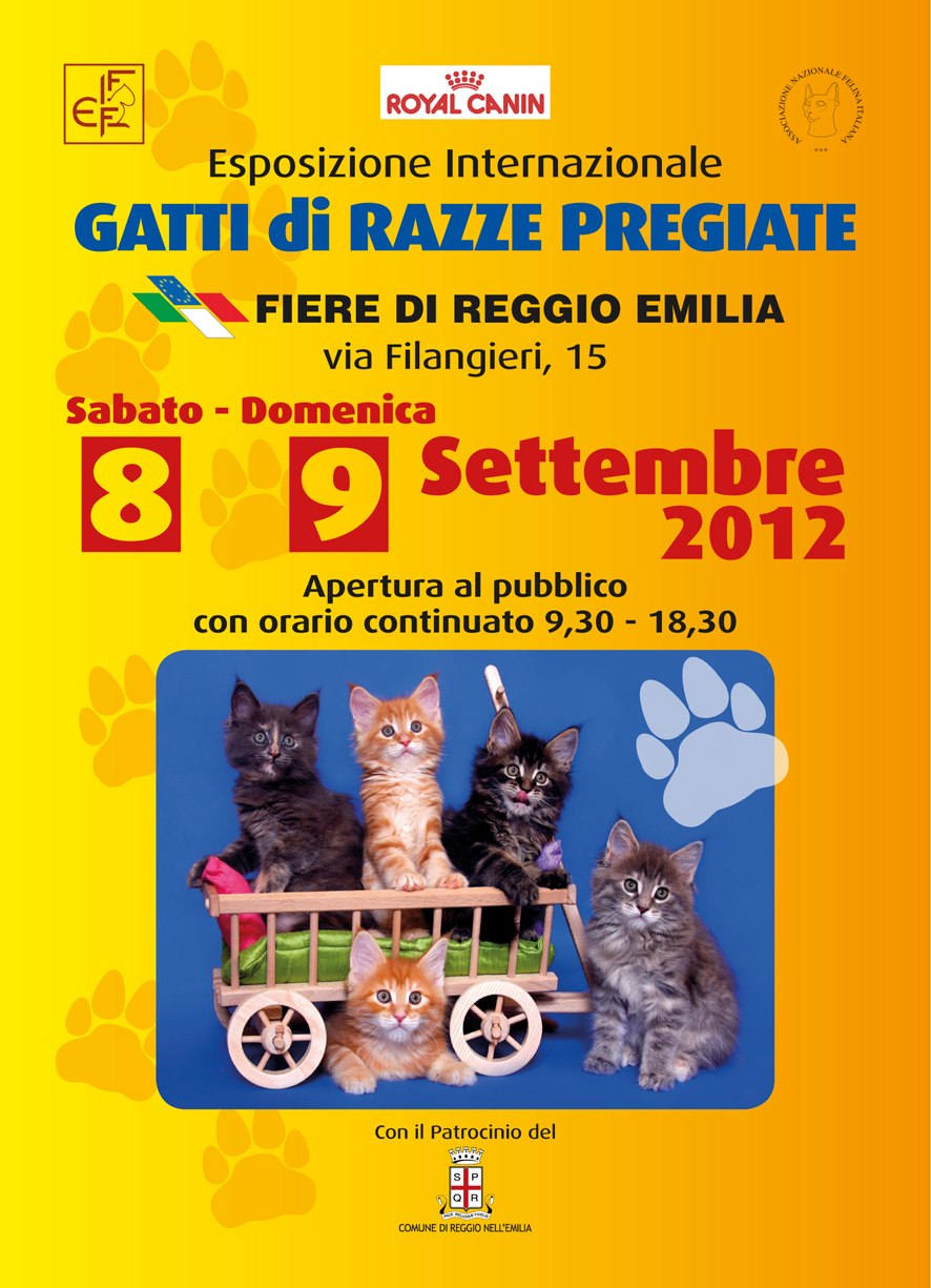 8 e 9 settembre Esposizione Internazionale Felina a Reggio Emilia