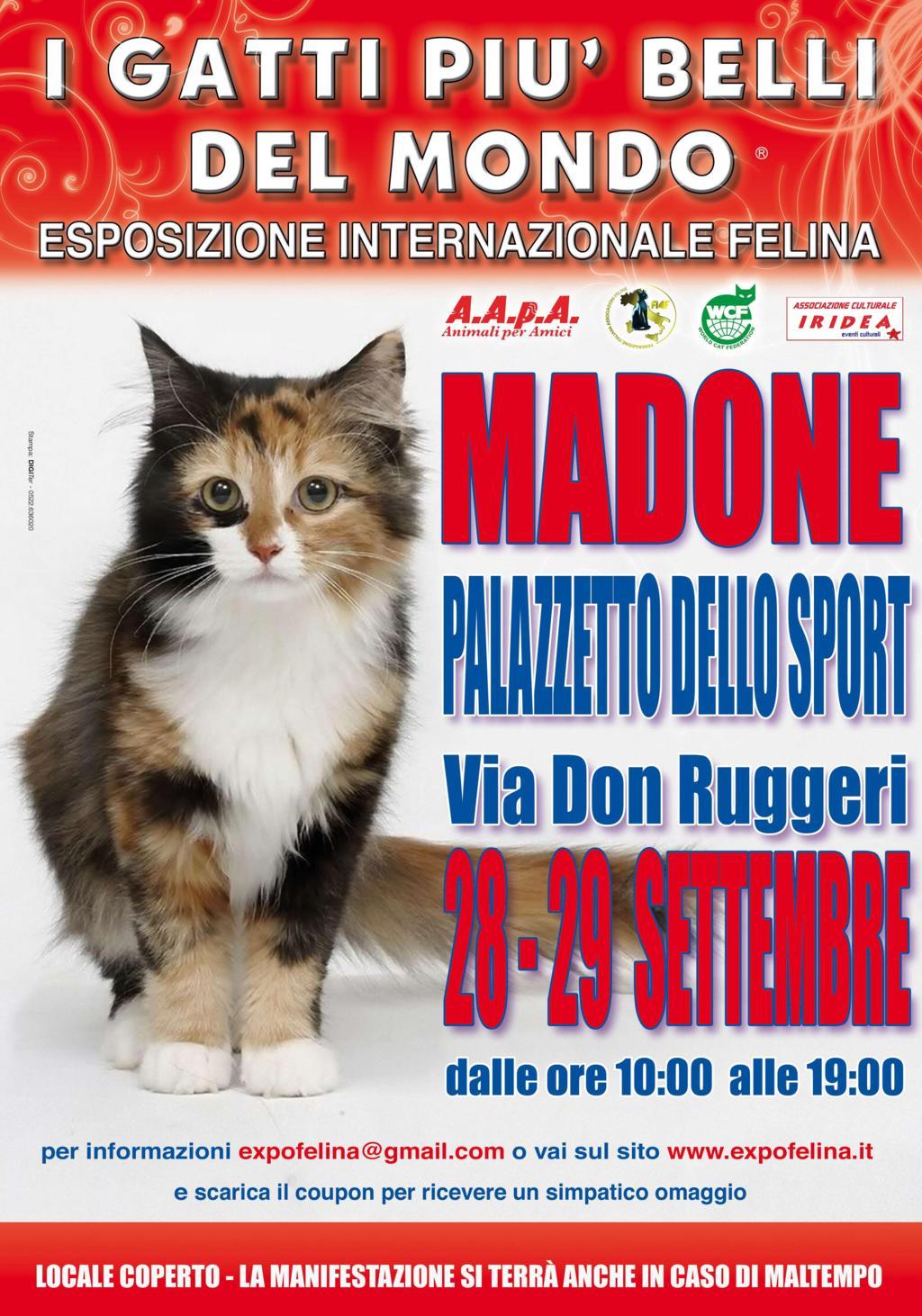 28 - 29 settembre 2019 Esposizione Internazionale Felina FIAF - WCF Madone