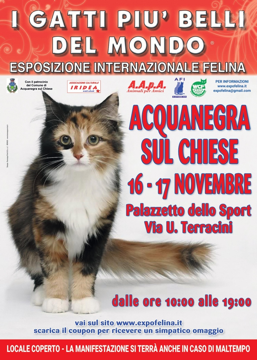 Esposizione Internazionele Felina Acquanegra Sul Chiese - ExpoEventi