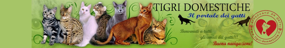 Annunci - il portale dei gatti