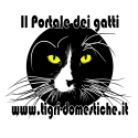 Forum il portale dei gatti - tigri-domestiche.it Forum il portale dei gatti - tigri-domestiche.it