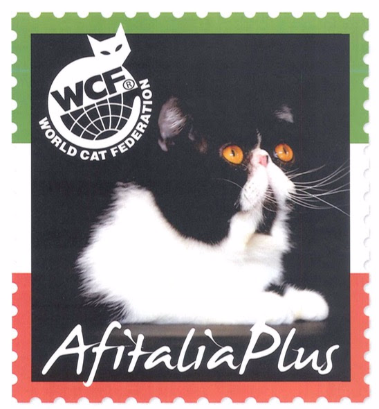 Allevamenti Gatti Siberiani Wcf Catalogo Web Directory Wcf Italia