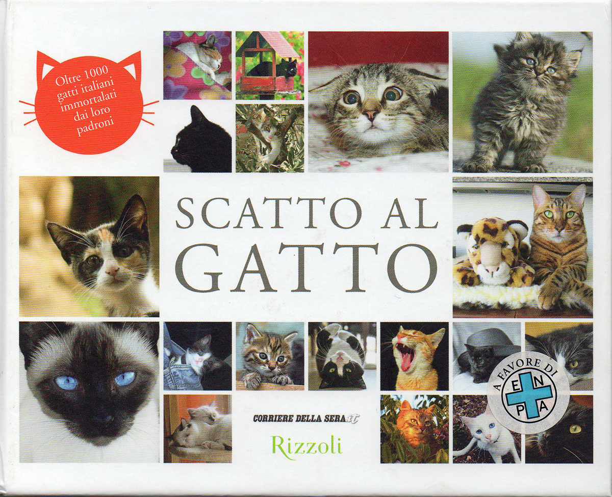 Scatto al gatto. Oltre 1000 gatti italiani immortalati dai loro padroni