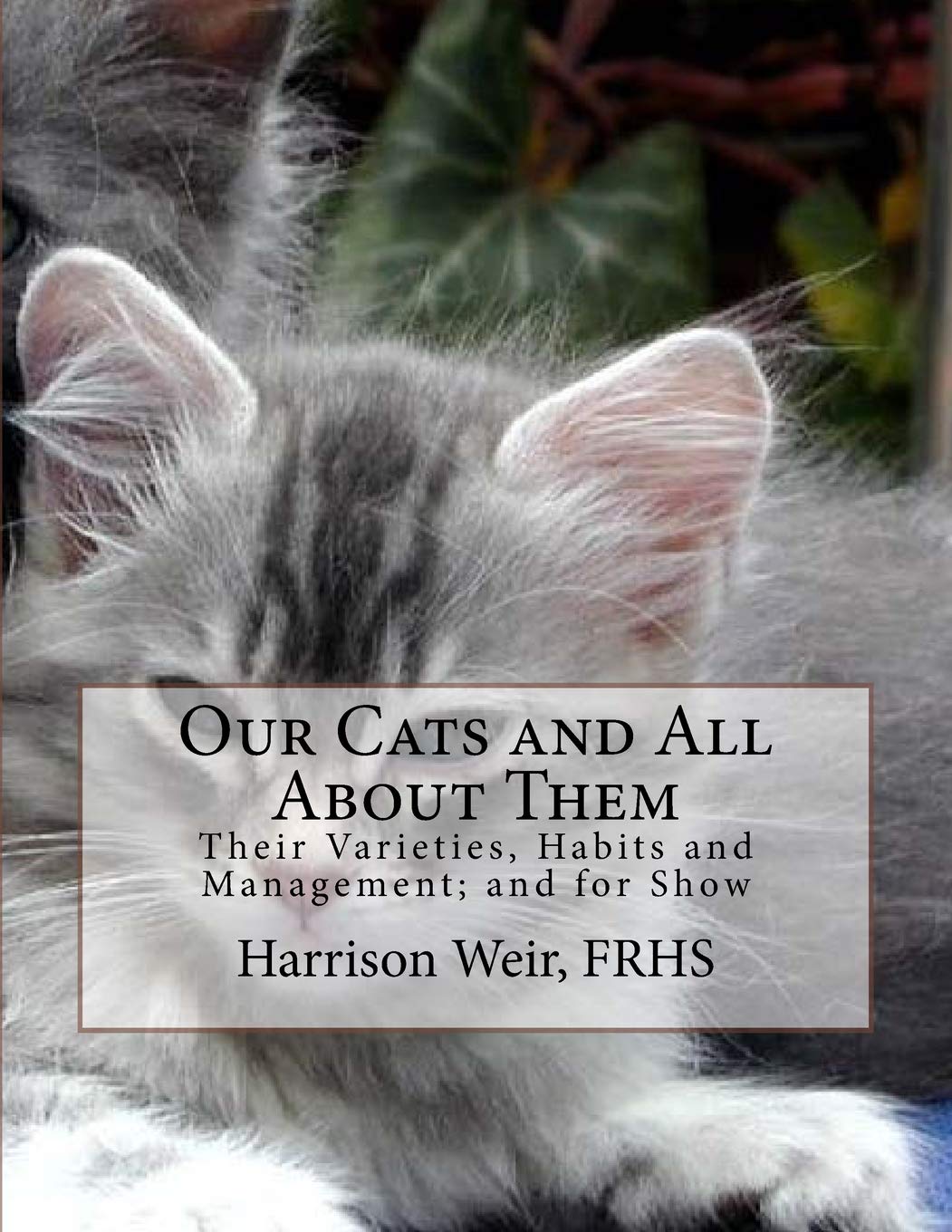 Our Cats and All About Them: Their Varieties, Habits and Management; and for Show - Harrison Weir
