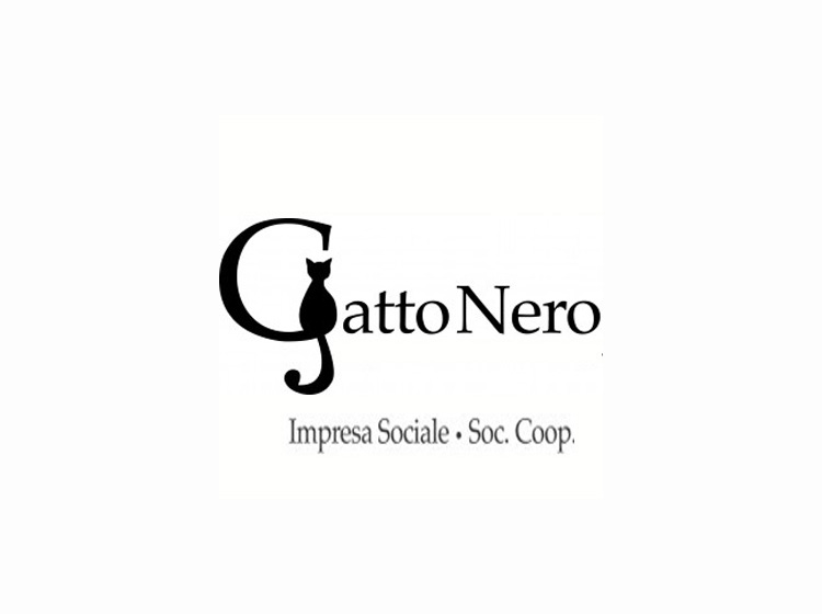Volontariato Gatti Emilia Romagna Provincia Di Bologna Gatto