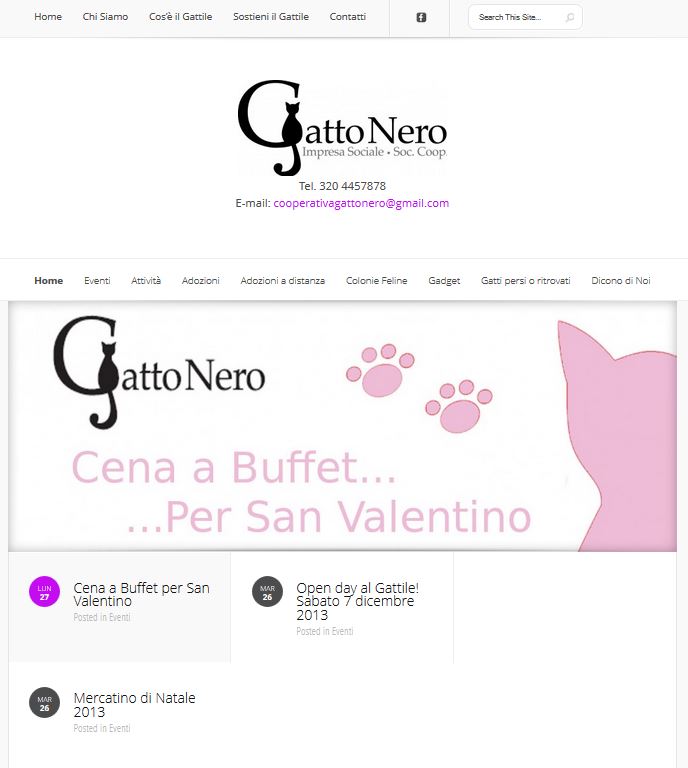 Volontariato Gatti Emilia Romagna Provincia Di Bologna Gatto