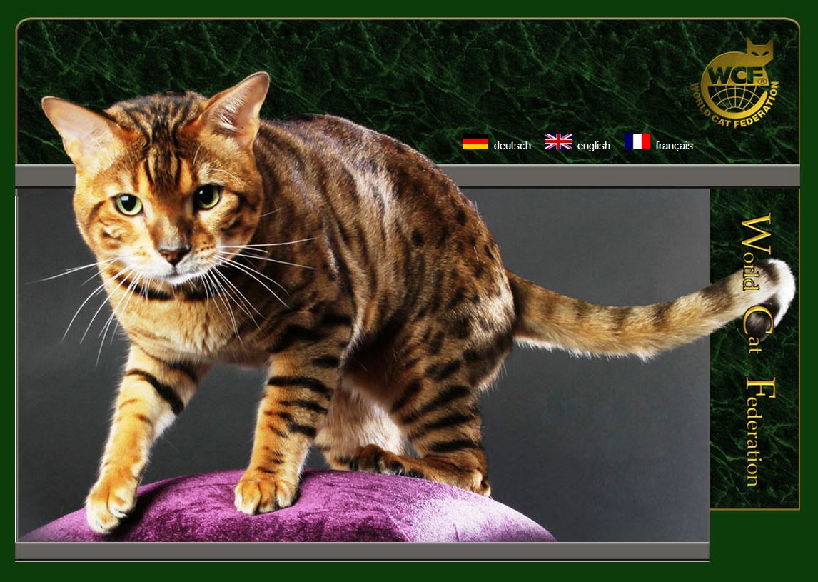 World Cat Federation WCF