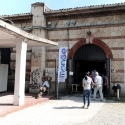 Foto dalla Esposizione Internazionale Felina ANFI - FIFe di Verona il 15 settembre 2019