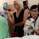 Foto dalla Esposizione Internazionale Felina ANFI - FIFe di Verona il 15 settembre 2019
