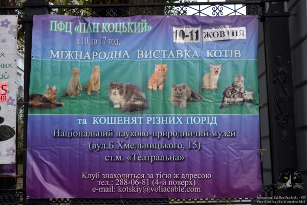 10 e 11 novembre 2015 Mostra Interazionale Felina Pan Kockij WCF di Kiev Ucraina