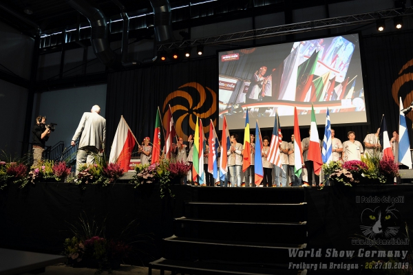 World Show 2019 Foto World Cat Show Freiburg im Breisgau Germany