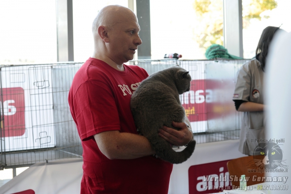 World Show 2019 Foto World Cat Show Freiburg im Breisgau Germany