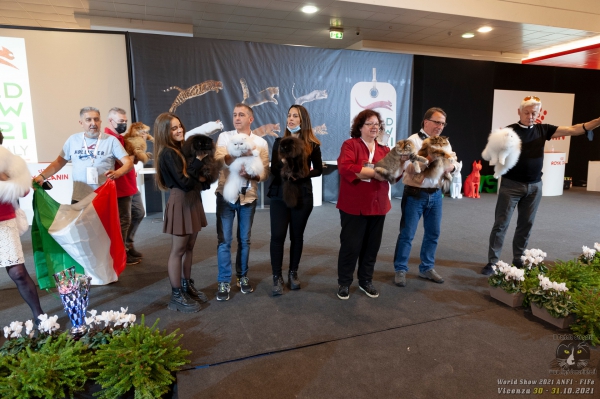 30-31 ottobre 2021 - le foto restanti - World Show 2021 Foto World Cat Show ANFI - FIFe Vicenza Italy