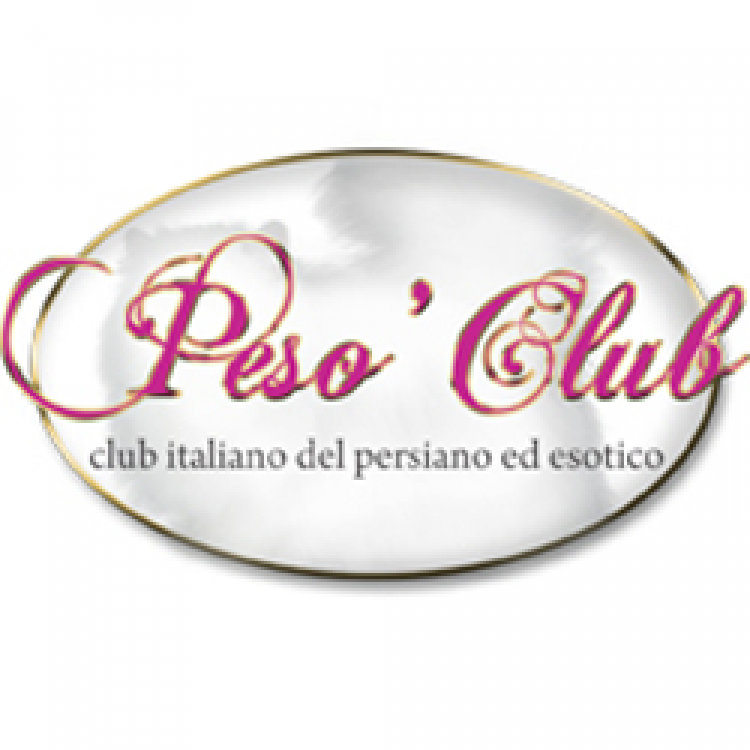 PESO’ CLUB – Club Italiano dei Persiani ed Esotici