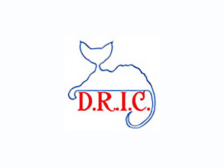 D.R.I.C. - Club Italiano del gatto Devon Rex