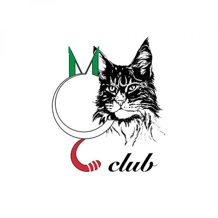 MCCclub - Maine Coon Cat Club