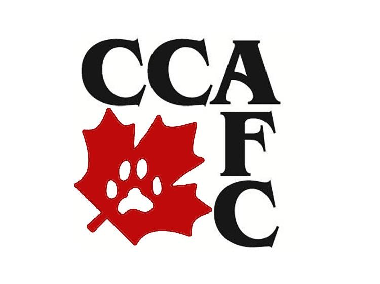 The Canadian Cat Association (CCA)
