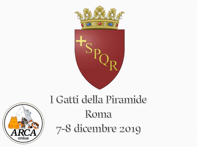 7 - 8 dicembre 2019 L'appuntamento I gatti della Piramide - Roma