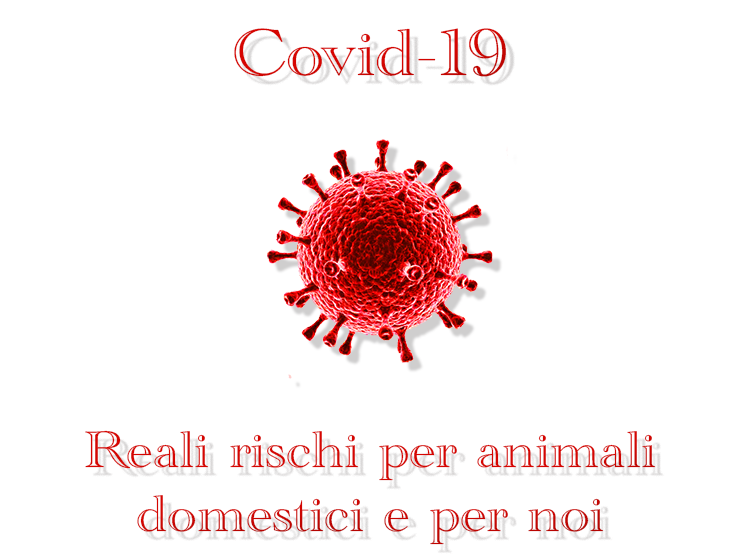 Covid-19 reali rischi per animali domestici e per noi